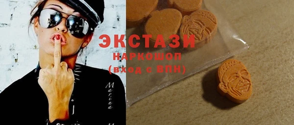индика Бикин