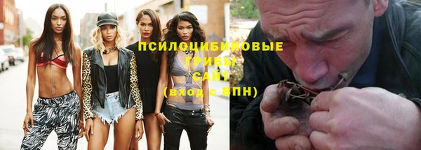 марки lsd Ельня