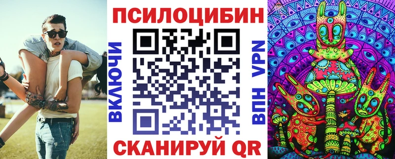 Псилоцибиновые грибы Psilocybe  Иннополис 