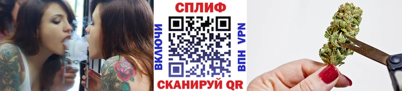 Бошки Шишки Amnesia  Иннополис 